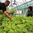 장수유기질 이미지