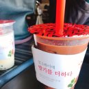 공차강릉안목항점 이미지