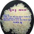방아촌