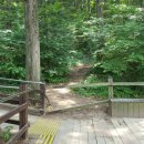 영천시공예촌캠핑체험장 이미지