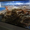 스카이베이 부근 이미지