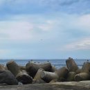 선창 화장실 이미지