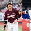 강백호 카카오 검색결과