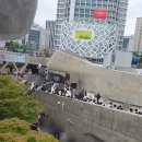 디자인 오호 | DDP 디자인페어2025 관람후기