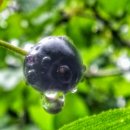 수원청소년문화센터 이미지