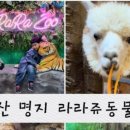 지니코인노래연습장 이미지