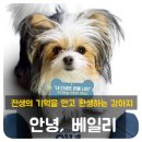 이안 주유소 | 【영화&amp;드라마】안녕, 베일리 / 전생을 기억하는 강아지 베일리/가족영화/추천