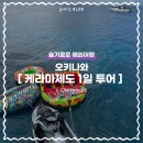 오키나와 : 케라마 제도 1일 투어 / 스쿠버다이빙 🤿 [와따오키나와] 후기