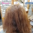 진수헤어샵