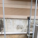 정읍부화장 이미지