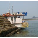 대산항민박 이미지