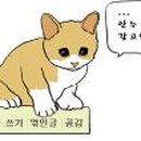 대의부동산공인중개사사무소 이미지