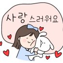 러블리핏 이미지