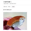 원모어백 이미지