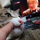 구로경찰서 이미지