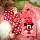 펫 파라다이스 이미지