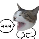 프리즘라운지 이미지