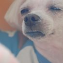 멋짐 네이버블로그