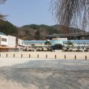 서하초교 이미지