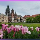 항구제2농장 이미지