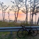 죽변운동장 티스토리
