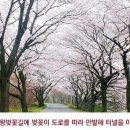 성덕사 이미지