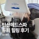 이화미용실 | 이대미용실 캄스헤어 탄산헤드스파 후기 두피 힐링