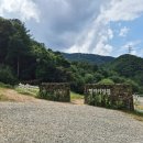 가평 양떼목장 이미지