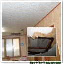 둥근섬로 이미지