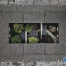 우전 Daum카페