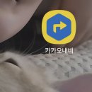 정문 | [내돈내산]5월 용인 에버랜드 연휴 주차 지옥 피하는 법! 발렛 예약 및 정문 주차장 꿀팁