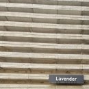 생각속의집 라벤더 이미지