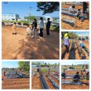 그림농장 이미지