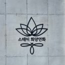 스테이화양연화 이미지