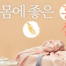 명가 홍삼을 담다