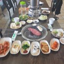 탄성한우 이미지