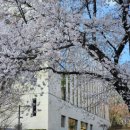 디자인크레스트