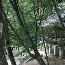 아산사 이미지