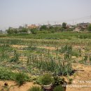 고우농장 이미지