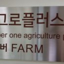 한국아그로법인 네이버블로그