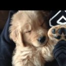 캡컷으로 영상 제작&편집하기 이미지