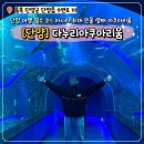 단양-단양-01 | 단양 다누리아쿠아리움 후기 아이와 함께 가볼만한 곳