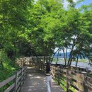 용담호수둘레길관리동 | [용인 대형카페] 데이트·산책·감성을 한번에! 용담호수 둘레길+라미르 카페 후기