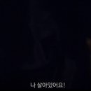 애프터라이프 티스토리