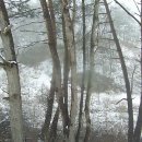 3월 24일 - 펄펄 눈이옵니다.. 이미지