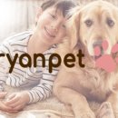 주식회사 스마트독 이미지