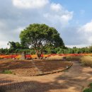 전기차충전소_서부농업기술센터 이미지