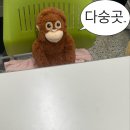 초보 엄마 제나의 육아 필수템 리얼 사용 후기 최종. jpg
