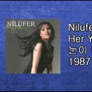 길을 잃다.3. ﻿Nilüfer - her yerde kar var 이미지