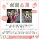 서울한영대학교